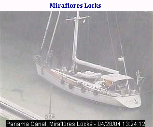 Apsara in Miraflores Locks