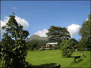 Depaz Sugar Plantation