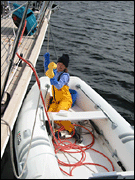Hull Cleaning