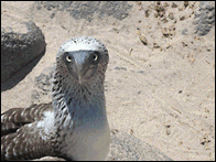 107_0774.gif