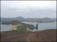 109_0938.gif