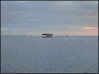 Home On Water, Raitea