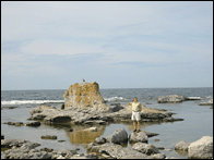 Rock Formations Faro Beach